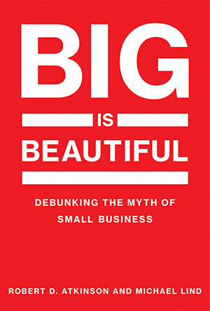 Jacket cover for "Big is Beautiful: Debunking the Myth of Small Business"