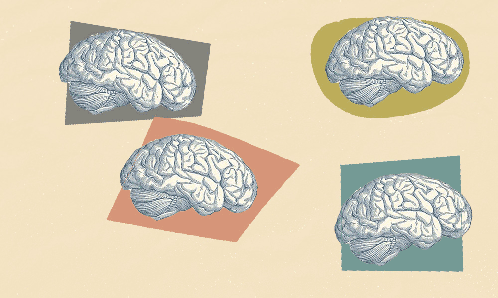 The Remarkable Ways Our Brains Slip Into Synchrony | The MIT Press Reader