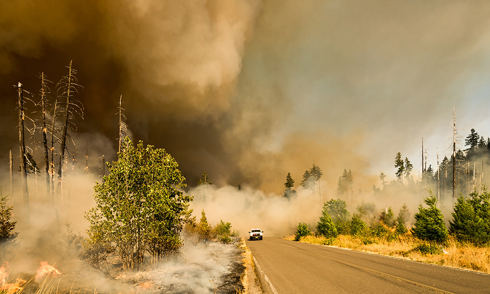 Do Extreme Weather Events Change Climate Policy? The MIT Press Reader