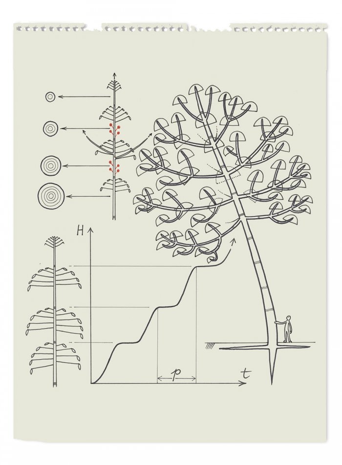 trees on mars explanation