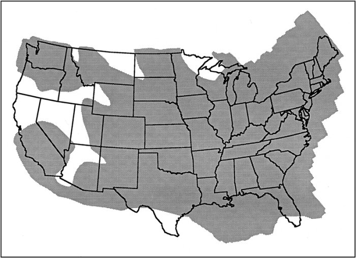 research on atomic bombs