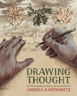 essay on a drawing