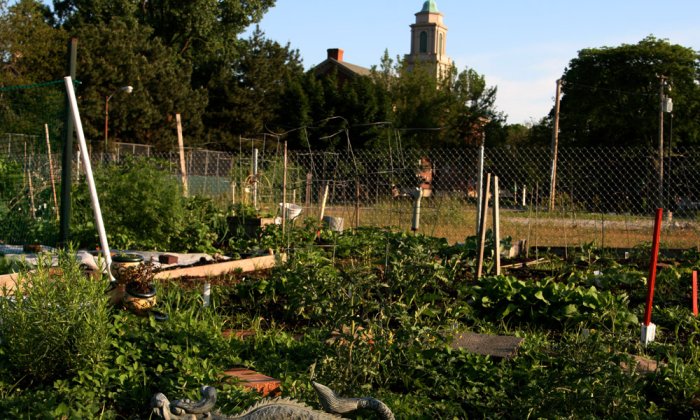 essay on community gardens