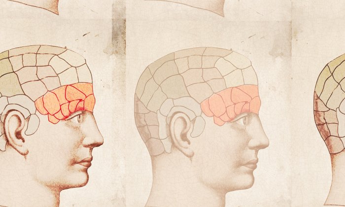 case study of frontal lobe