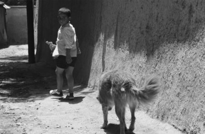 Abbas Kiarostami’s Cinema of Subtraction