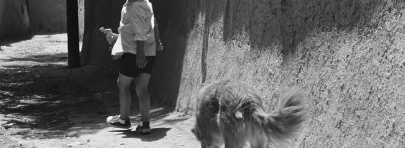 Abbas Kiarostami’s Cinema of Subtraction