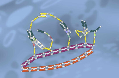 How Citizen Science Games Could Help Cure Disease