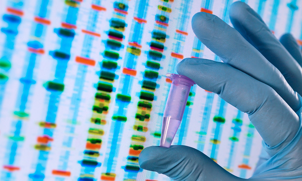 Genetic Ancestry Doesn’t Tell Your Whole Story