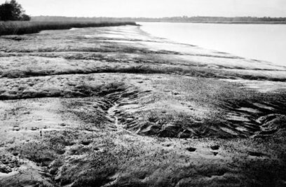 A Southern Waterway Scarred With Secrets