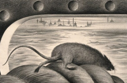 Pleasure, Plague, and Panic: Why Cruise Ship Outbreaks Still Haunt Us