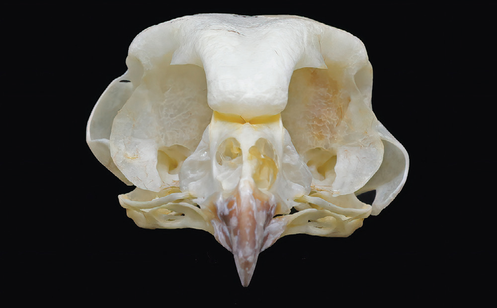 Post image 3